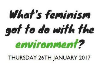 WEN, what's feminism got to do with the environment?, panel discussion