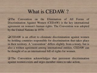 letter, Minister, women's organisations, Converntion on the Elimination of All Forms of Discrimination Against Women, CEDAW, UN review 2019, 